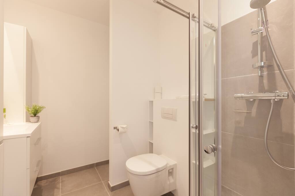 toilette + levier + douche