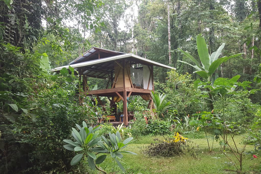 360 view house