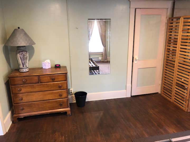 Large bedroom with dresser, wall mirror, closet and elephant light!