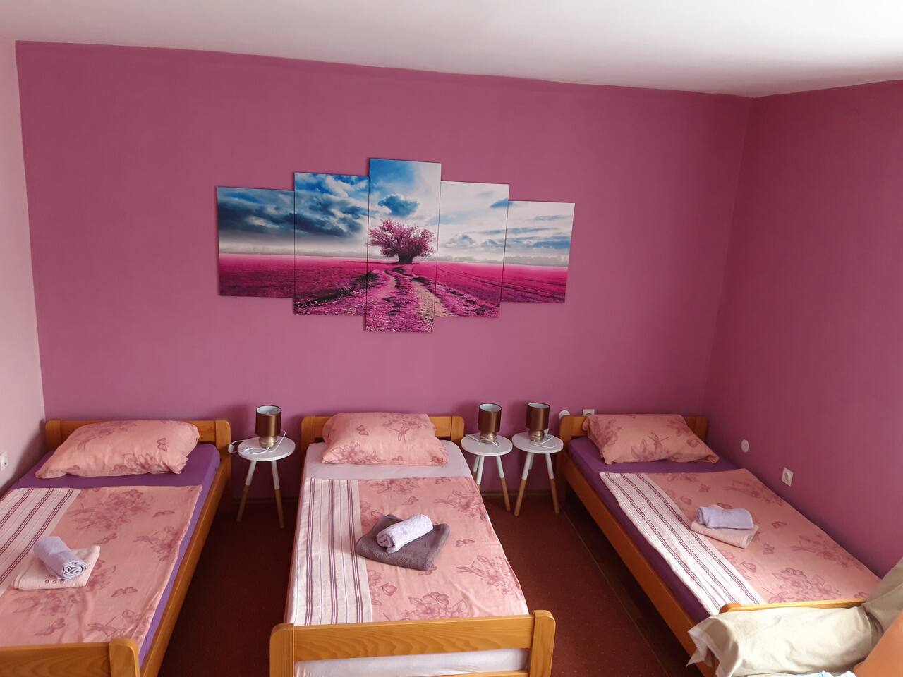 Studio Apartman Centar U Ogulinu Cvijetna Ul 4 Apartments For Rent In Ogulin