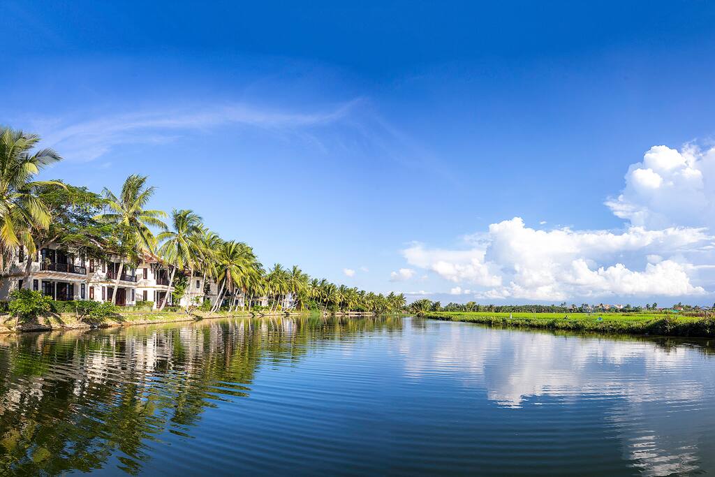 Riverside with Coconut and Rice fields