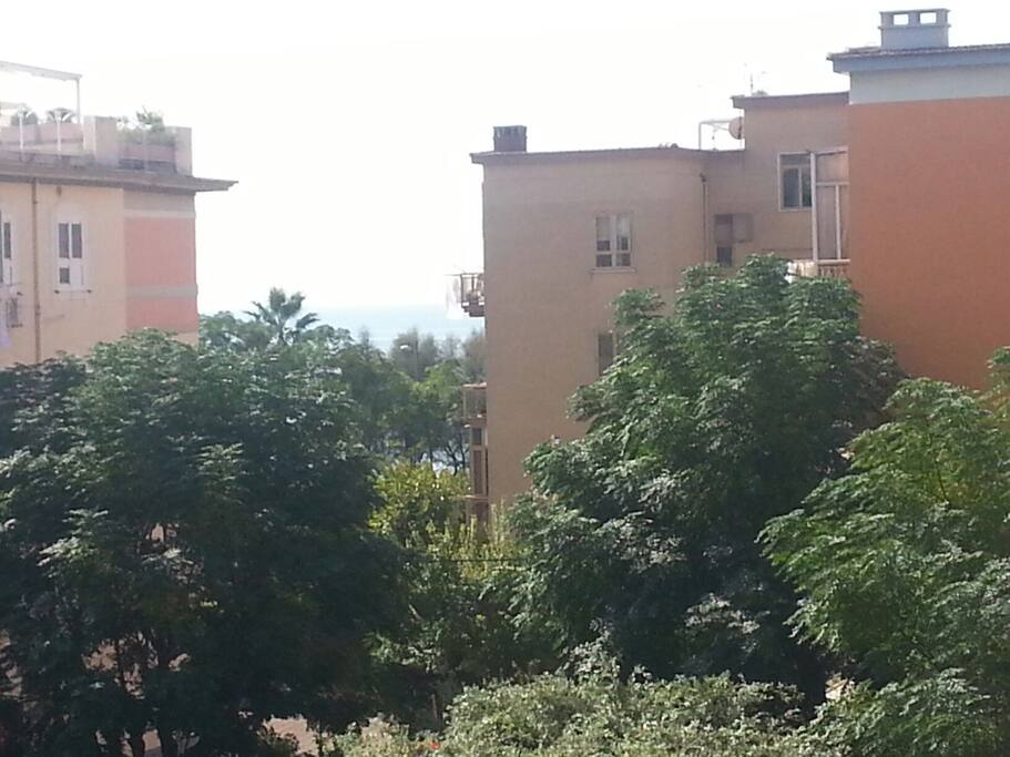 vista terrazzo