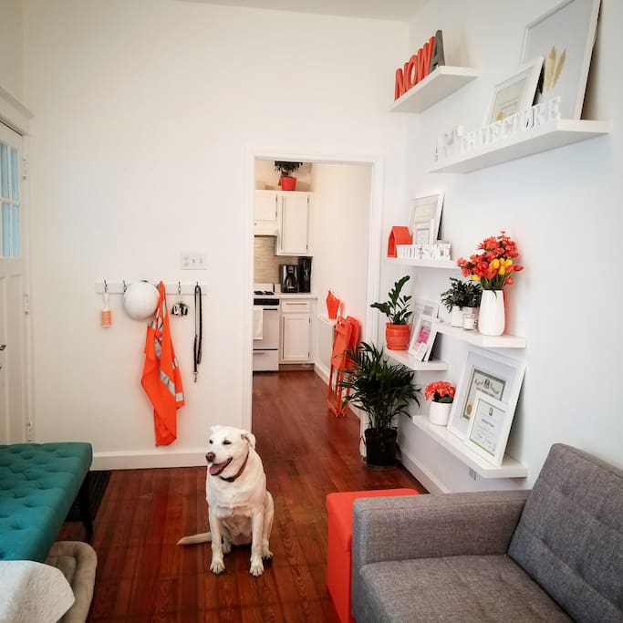 Teensy's office by day, your New Orleans pad on the weekends