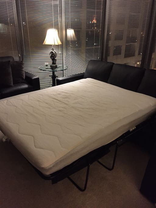 Pullout couch is BRAND NEW (Queen Size)