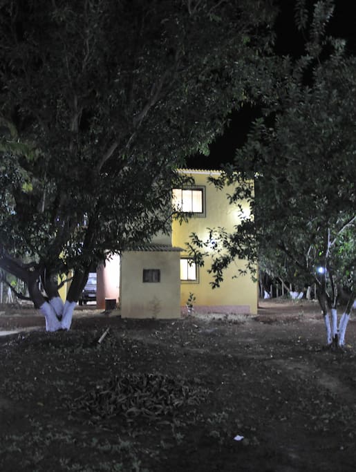 Side view