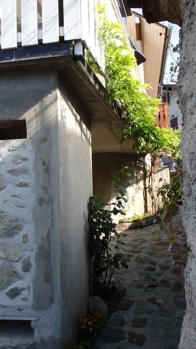 Chemin menant à la maison