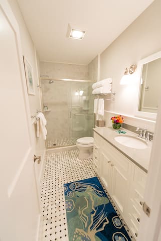 Gorgeous Condo w/Roof Deck, Harbor Views on Thames