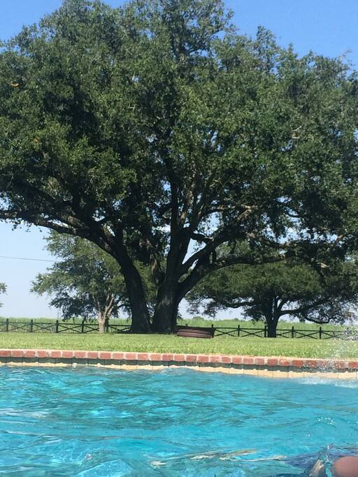 17 Acres in the Country.....Our Paradise on Earth!