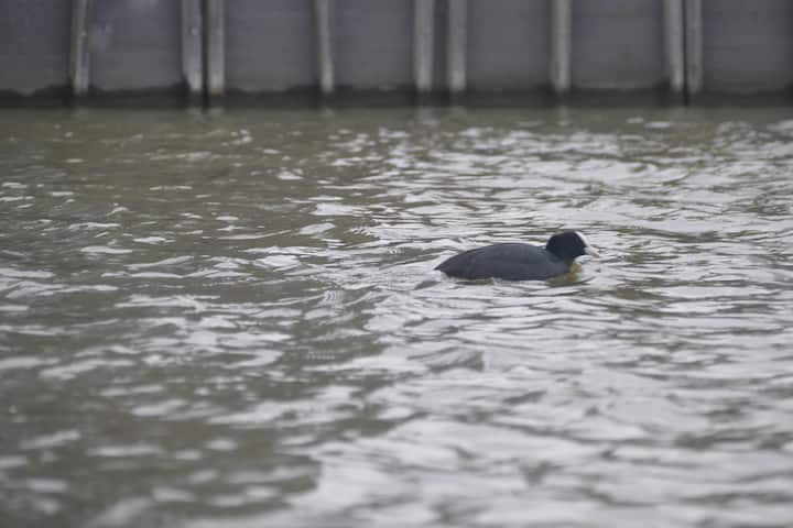 Долу - средби со диви животни:)