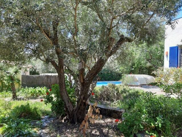 House with garden and private pool gallery image 4