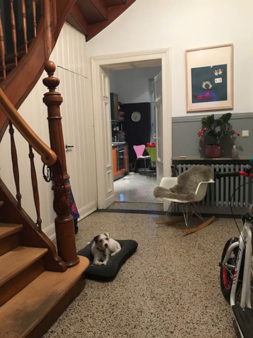 Treppenhaus mit Hund
