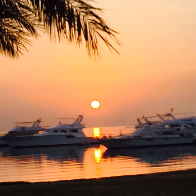 Sunrise view from the comfort of your bed.