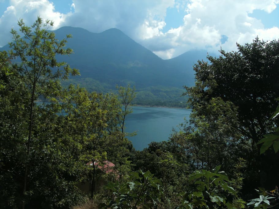 view from cottage