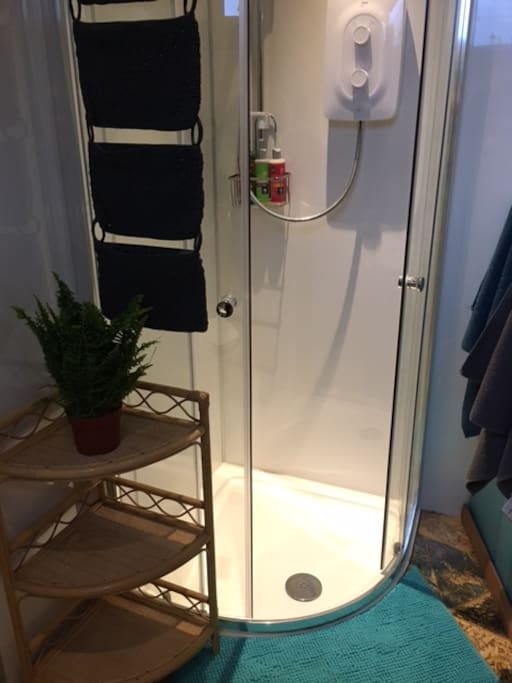 Electric shower
