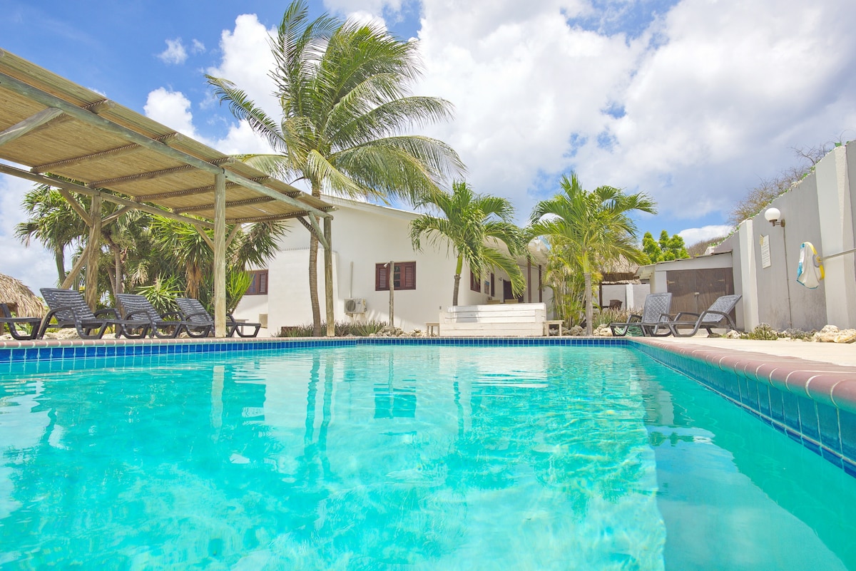A sparkling swimming pool is framed by lounge chairs under a shaded wooden structure. Lush palm trees enhance the outdoor space, while a modern bungalow is visible in the background, featuring large windows and a welcoming entrance.