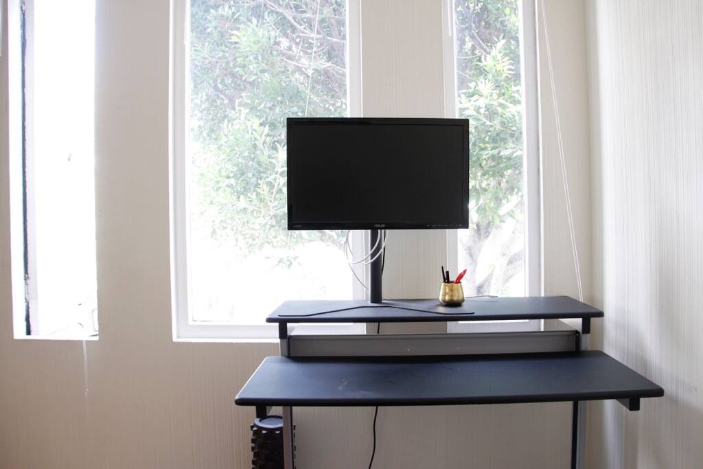 Computer Monitor