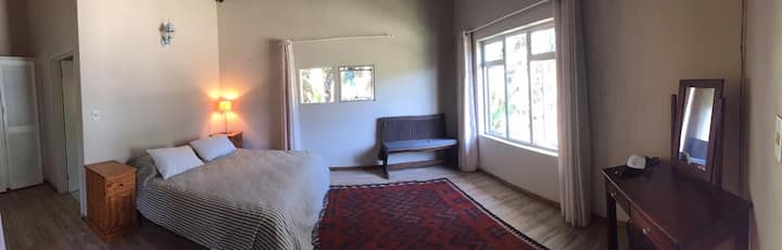 带海面窗的主卧室套房