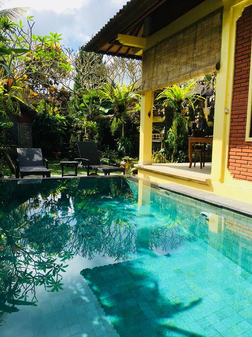 New pool in beautiful Garden