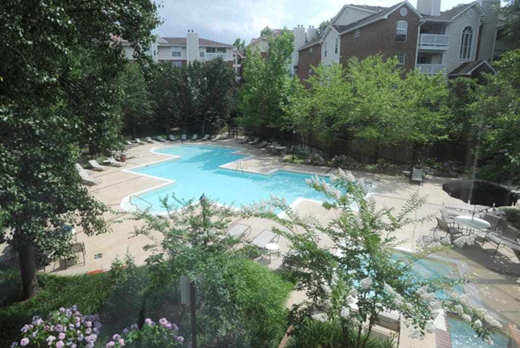 Pool with Jacuzzi