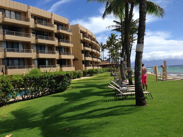 Aloha turtles at oceanfront Resort