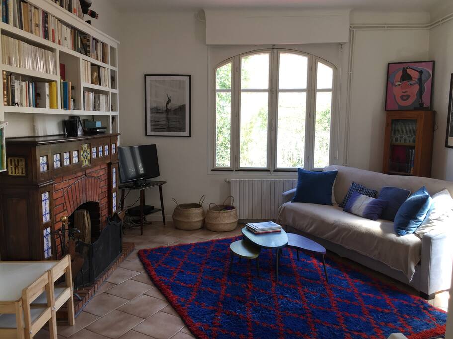 salon avec cheminée et bibliothèque