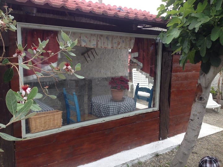 Relaxing House On The Sea Of Bocale With Orchard . - Calabria
