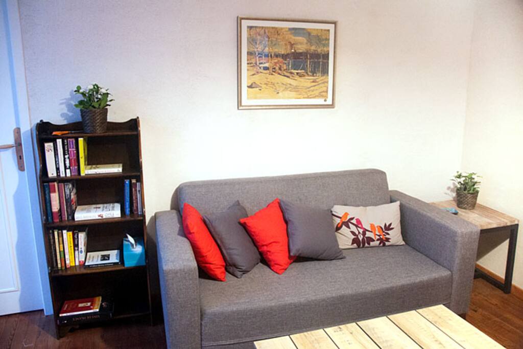 Single sofa bed in living room