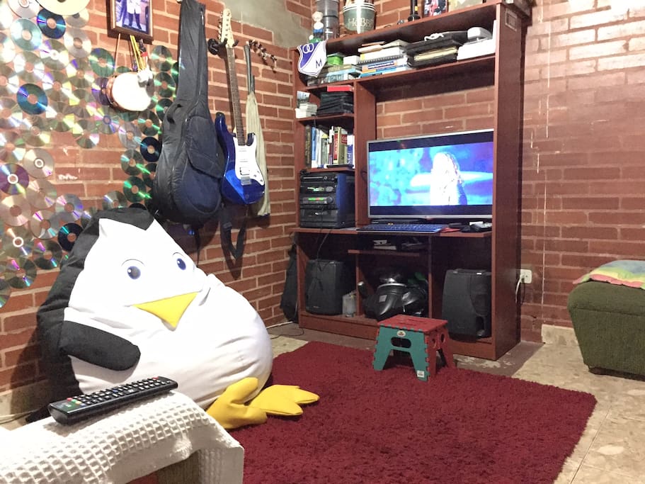 Entertainment room with stereo, wifi, books, games, guitars and penguin to rest