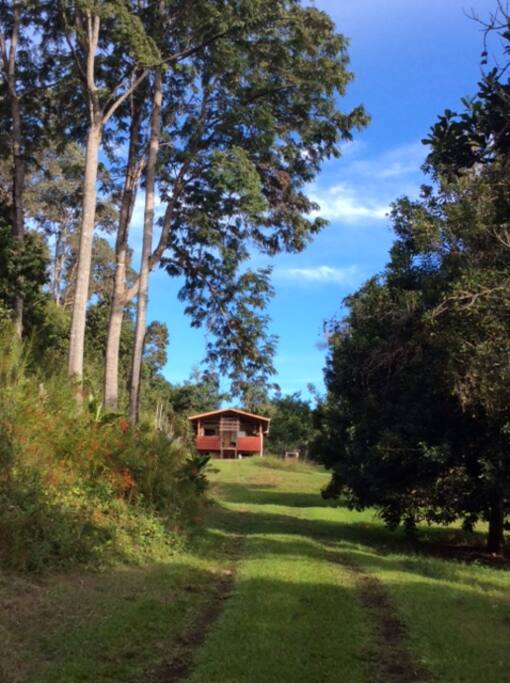 Top 100 Airbnb Rentals 2017 in Captain Cook, Hawaii