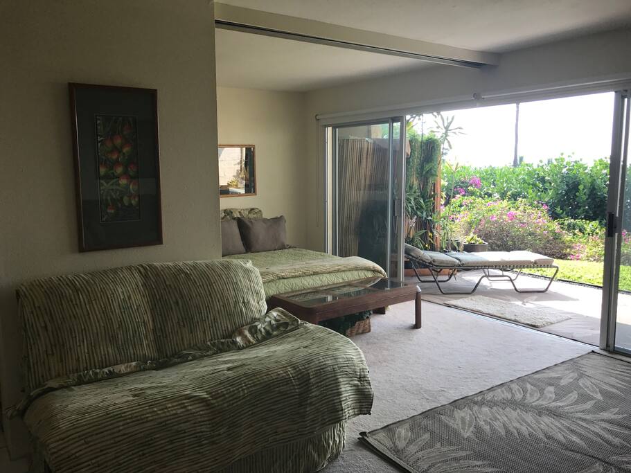 Living Room/Bedroom. Which opens on to the lanai