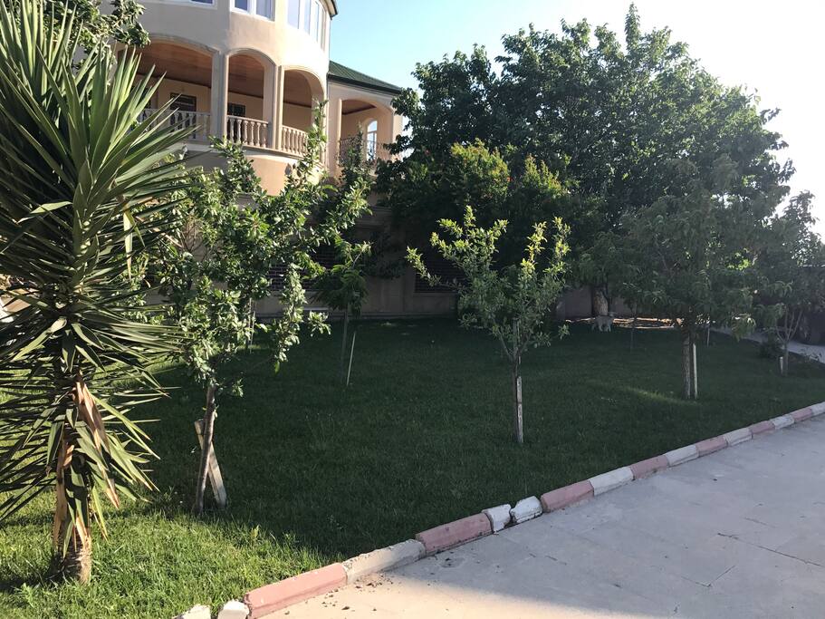 Fruit garden