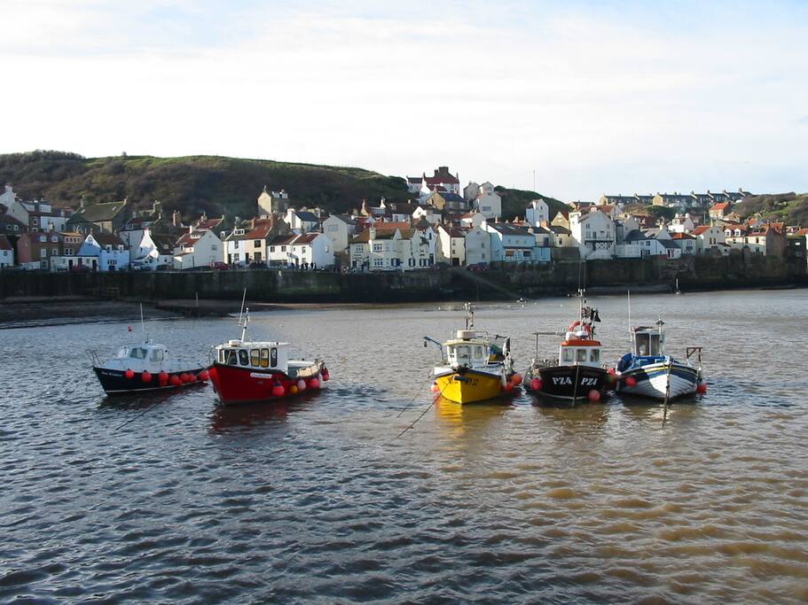 The harbour