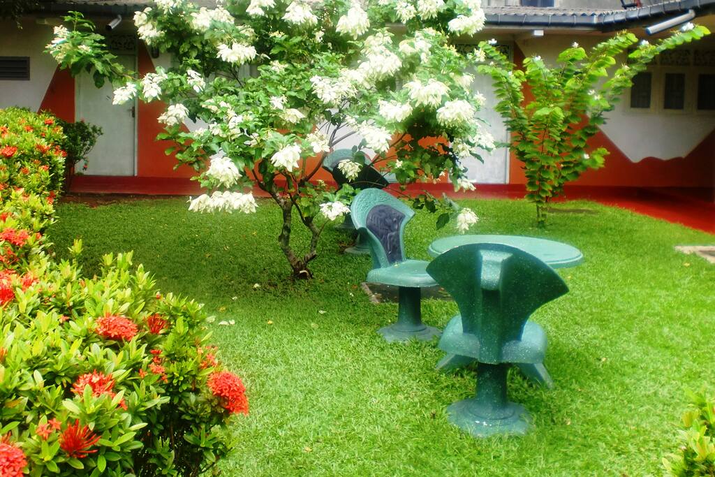 Green Garden