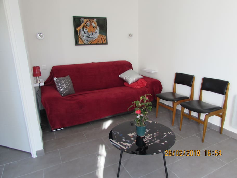 coin salon,