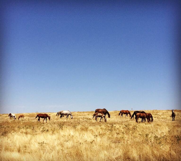 Just down the road