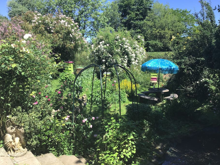 Garden in the Sumer time