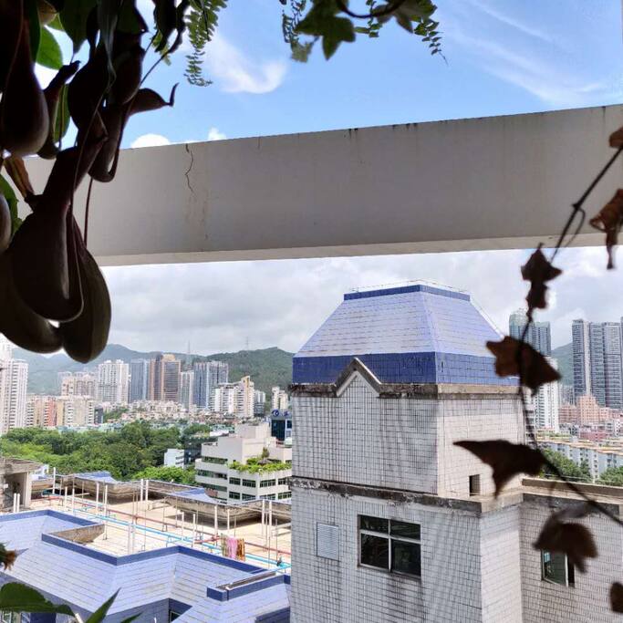 View from Balcony-Morning