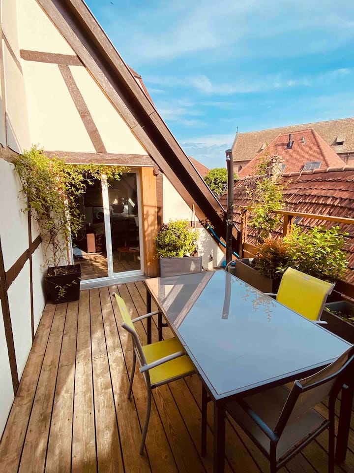 2 rooms ,terrace, pedestrian area, air-conditioned,