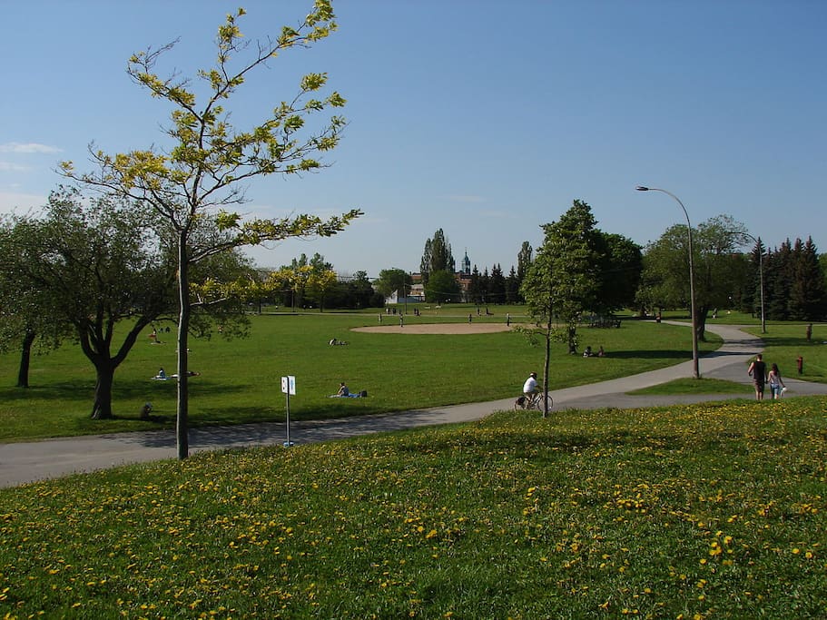Tout près du Parc Jarry et du Métro Castelnau.