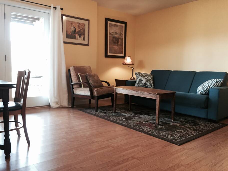 Open and bright living room and dining room. Sofa folds out to a double bed.