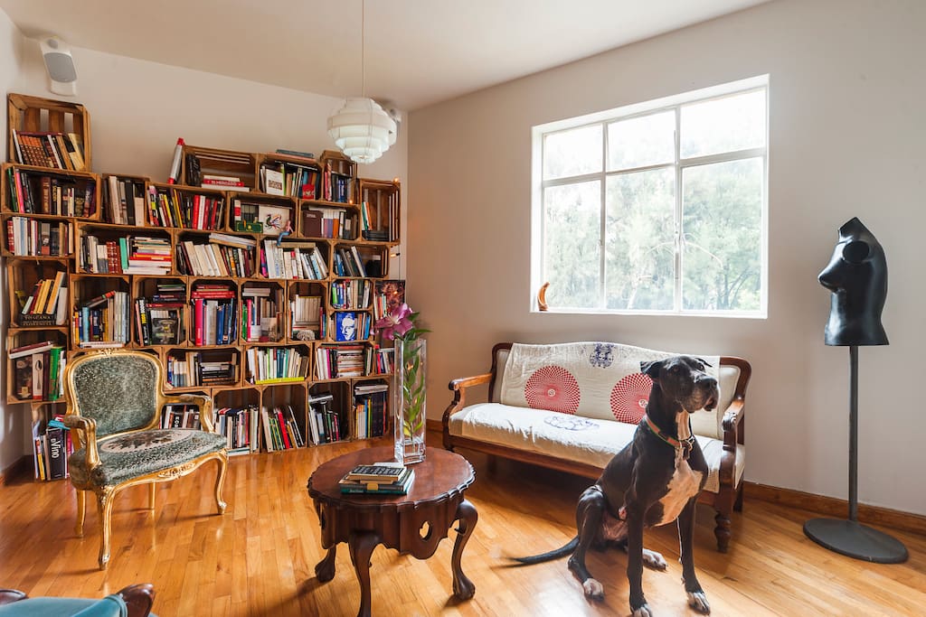 Living room - a dog lives in this property but won't be here during your stay. We don't accept other pets since one of the owners is allergic. If you are allergic, we can't guarantee the place is completely hypoallergenic though we have top notch cleaning practices.