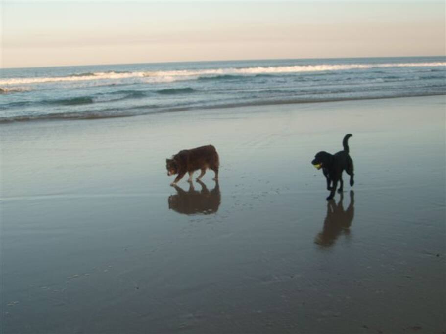evening stroll