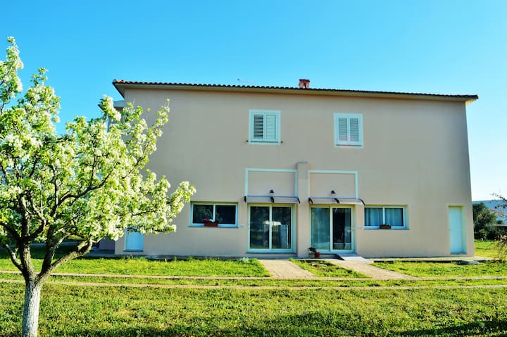 Al Vento Di Grecale - Olbia