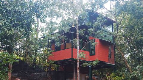 Tree house - Spectacular sky views