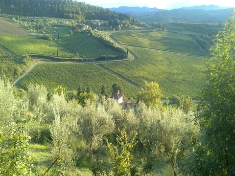 Tuscan vineyard home.  Near Florence