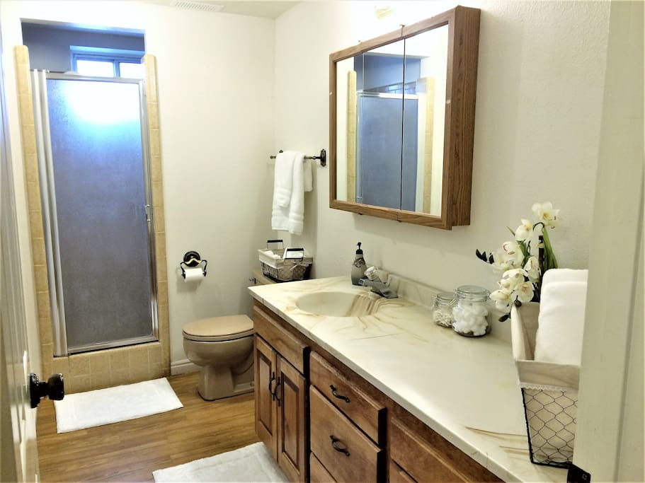 Guest bathroom
