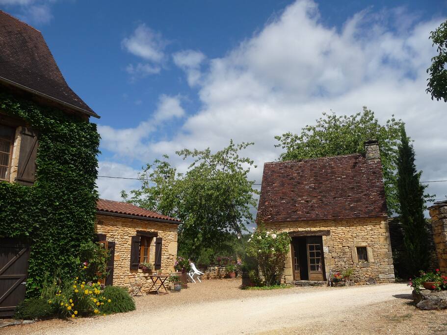 vue sur la cour
