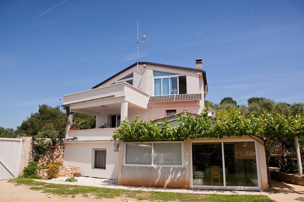 Besplatni cet besplatni cet