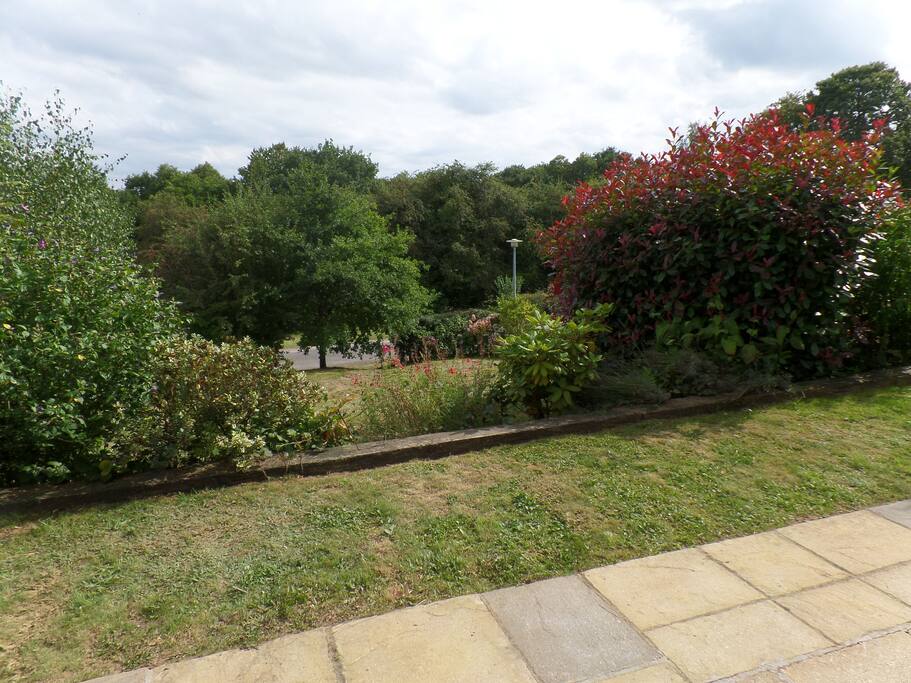 View from front