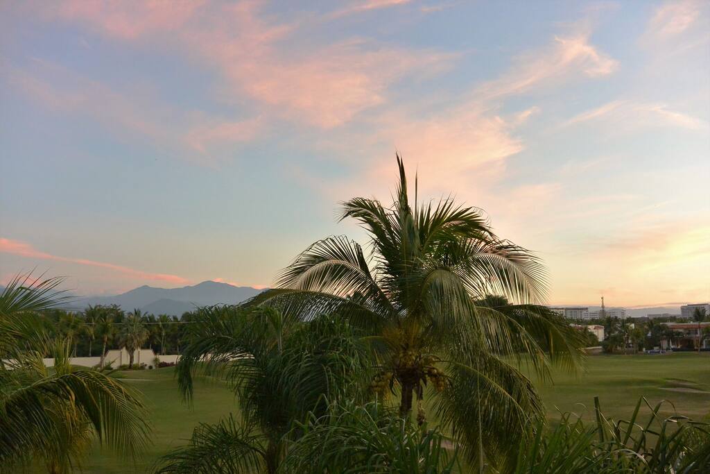 View from Shared Terrace